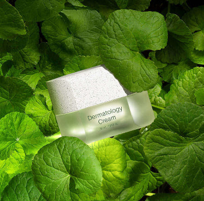 RIMAN ICD Incellderm Active Cream EX – 50ml Anti-Aging Moisturizer