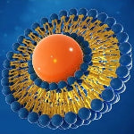 Riman ICD Incellderm Nanoliposomal Technology