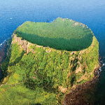 Riman ICD Incellderm what is  Jeju Lava Energy Water